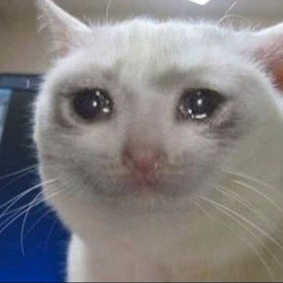 Meet your Posher, Erica - Picture 1 of 1